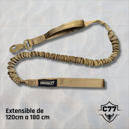 Correa de tracción elástica C77 para perros