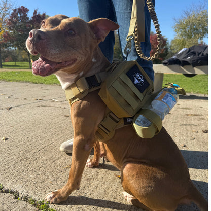 Arnés táctico C77 para perros