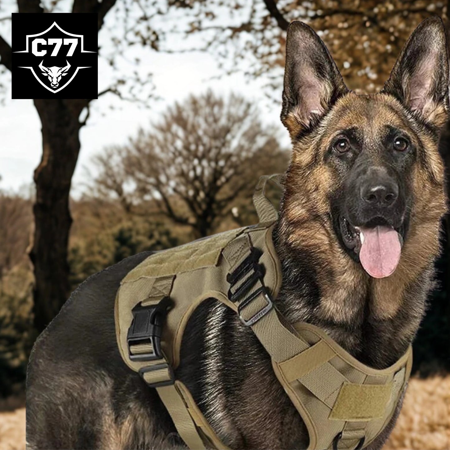 Arnés táctico C77 para perros